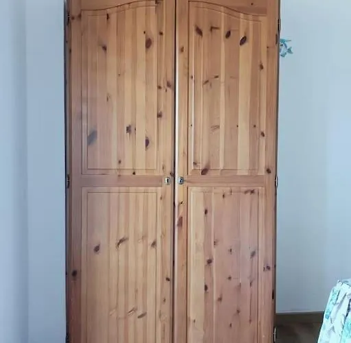 Luisa E 维拉西米乌斯